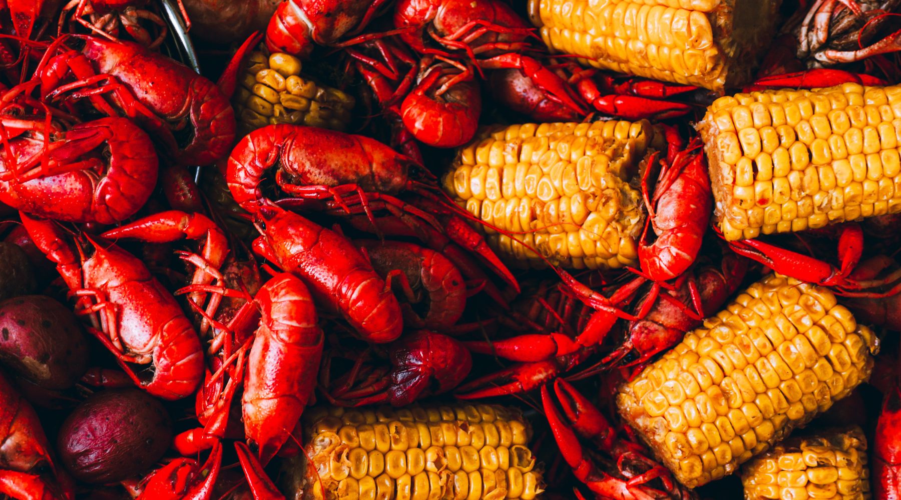 3rd Annual Happenstence Crawfish Boil Recap: Eats, Beer, and Music