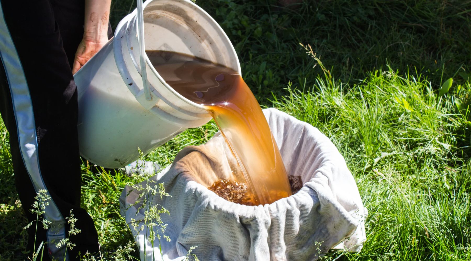 How to Brew Compost Tea at Home for your Garden