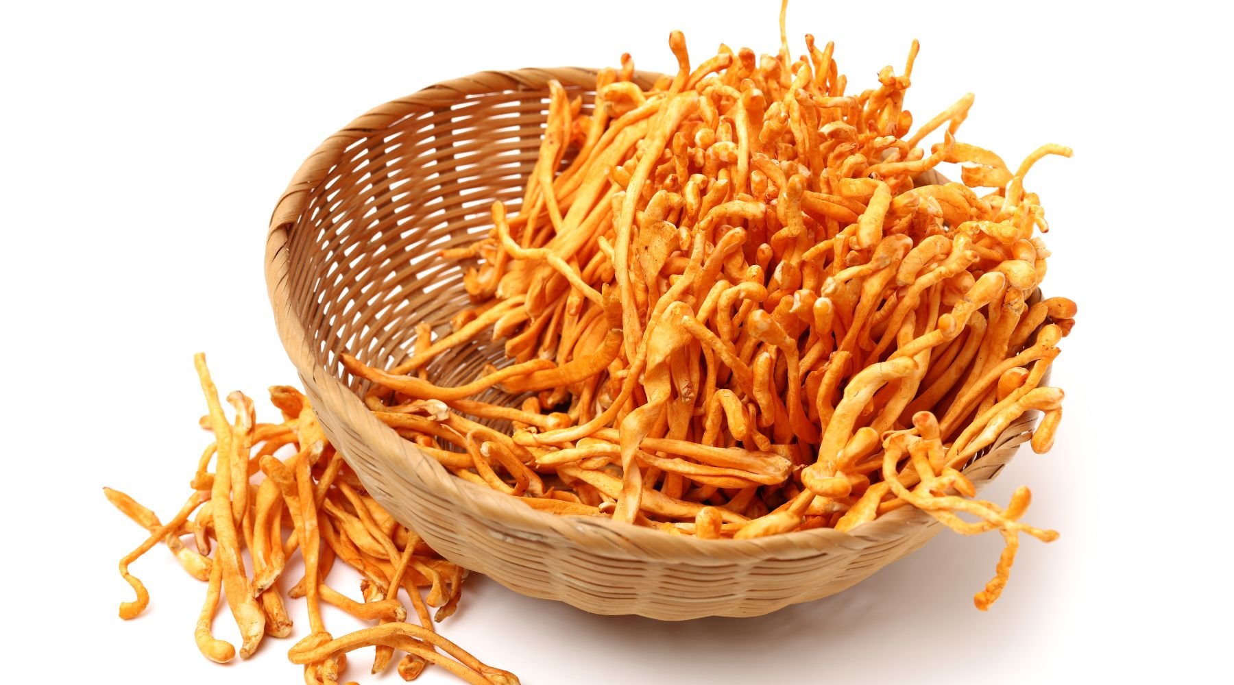 Cordyceps: The Energy & Endurance Guide - Happenstence®