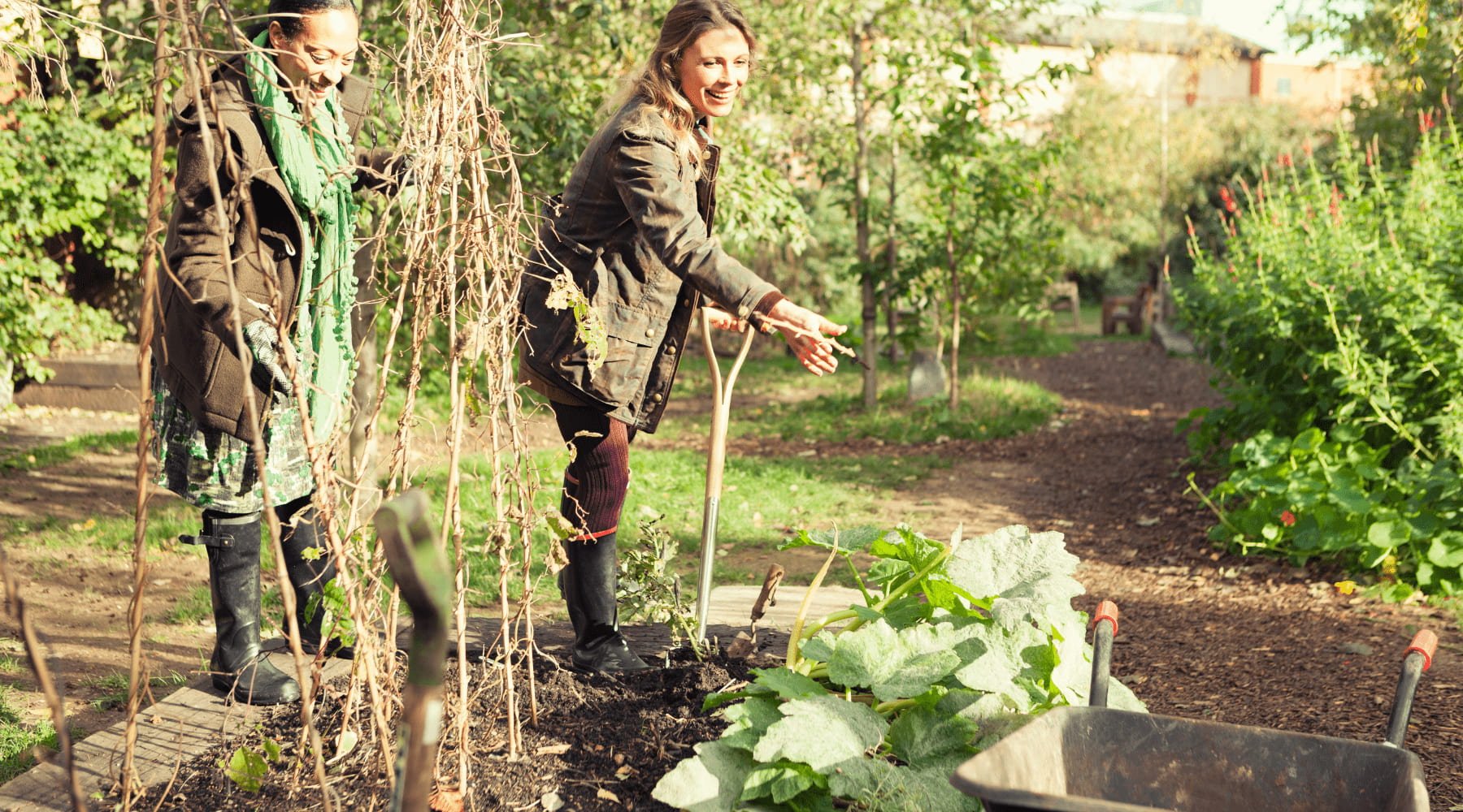 How to Prepare Your Garden in September for Fall Planting - Happenstence®
