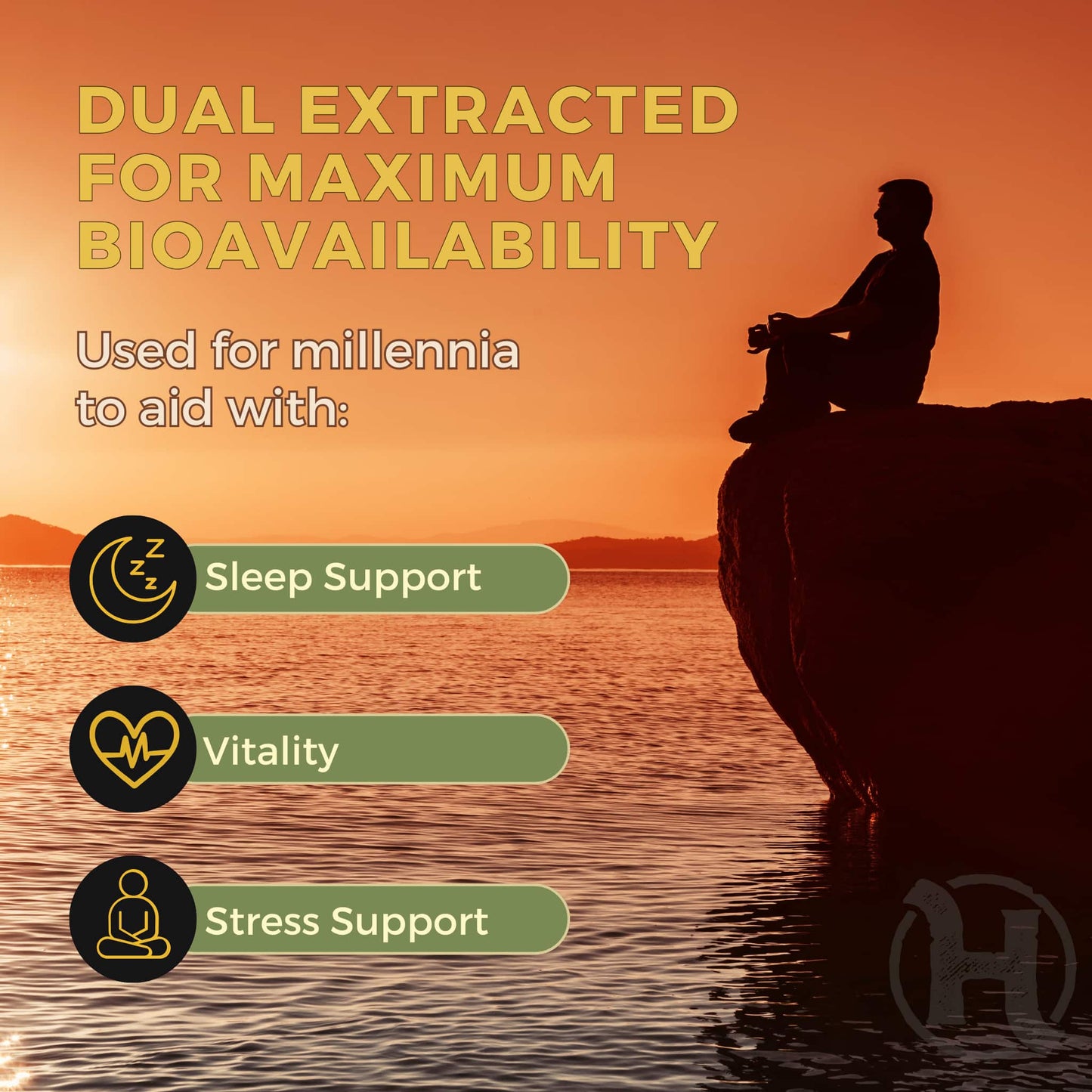 Reishi Dual Extract