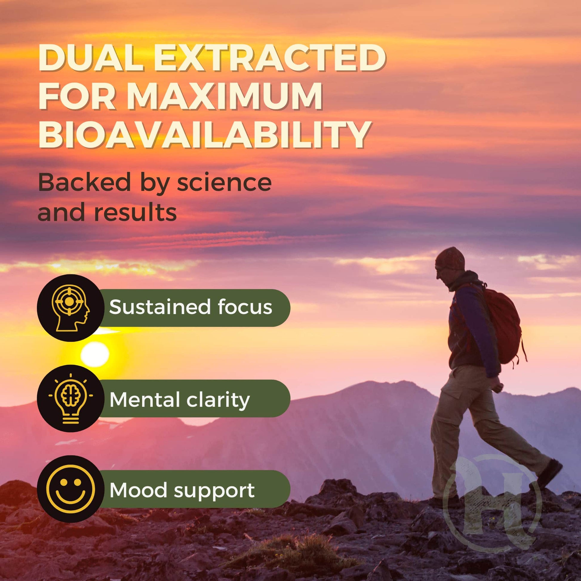 Cognitive & Focus Bundle