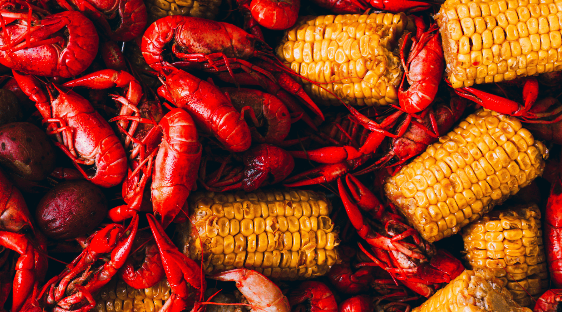 3rd Annual Happenstence Crawfish Boil Recap: Eats, Beer, and Music - Happenstence®