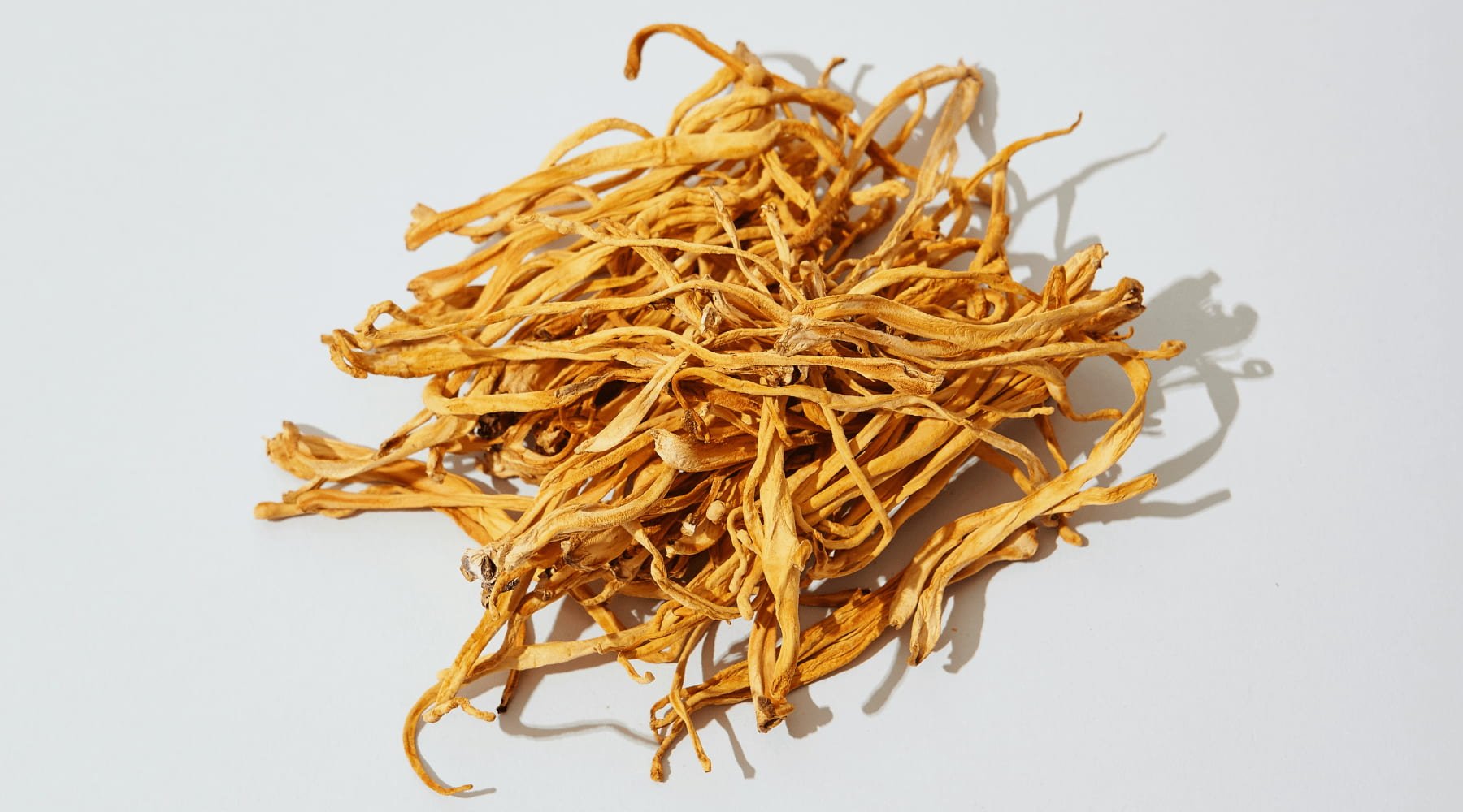 Cordyceps Militaris Benefits: Energy, Endurance & Gym Performance - Happenstence®
