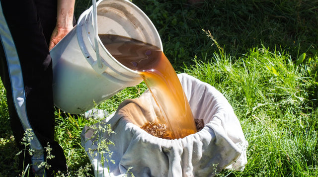 How to Brew Compost Tea at Home for your Garden - Happenstence®