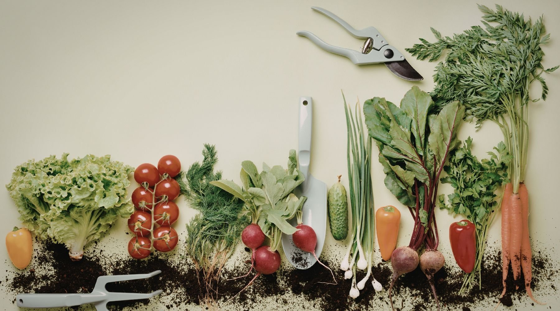 Spring Companion Planting: Giving Your Garden a Support System - Happenstence®