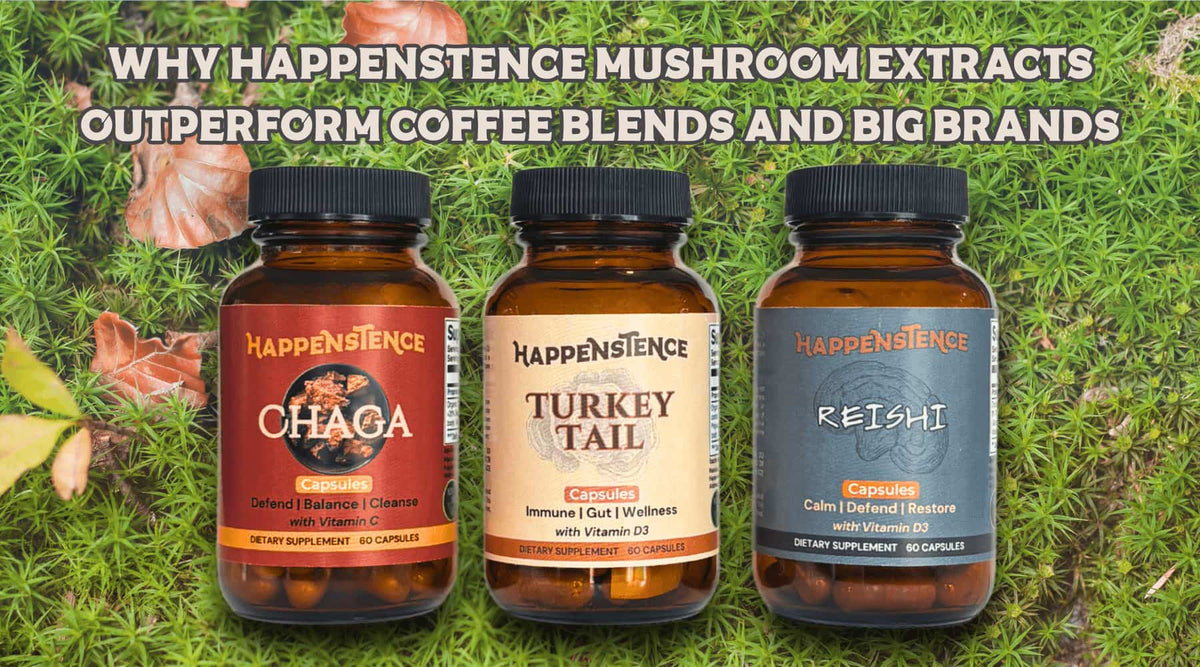 Why Happenstence Mushroom Extracts Outperform Coffee Blends and Big Brands - Happenstence®