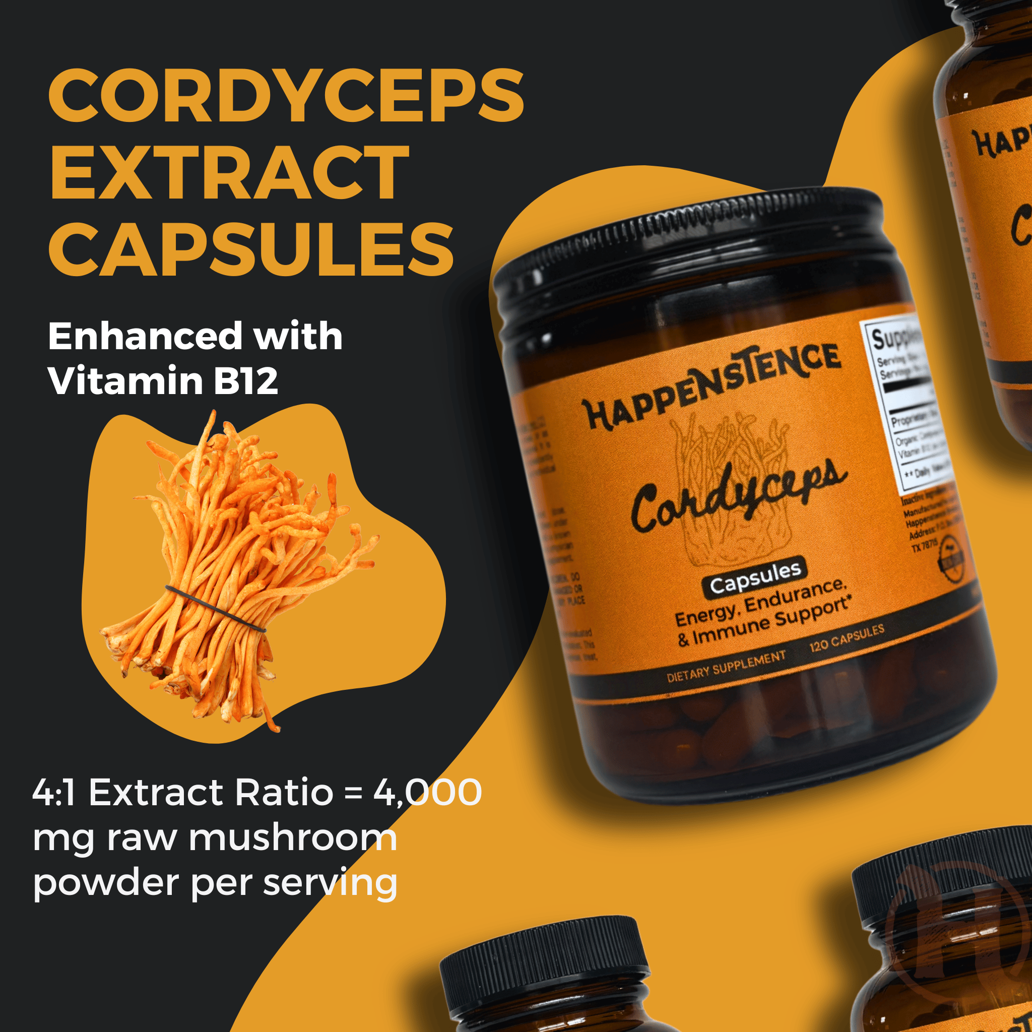 Cordyceps about our extraction