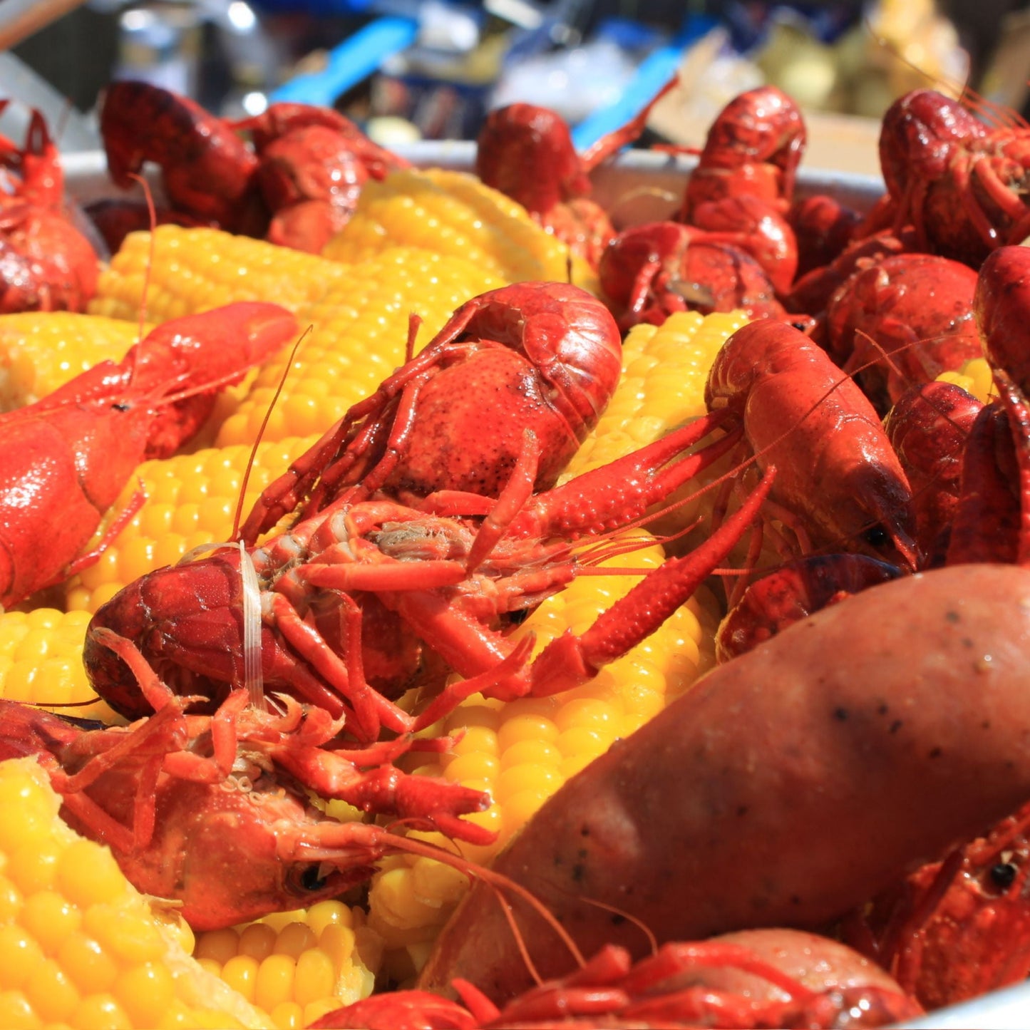 Crawfish Boil 3/7/26 - Happenstence®