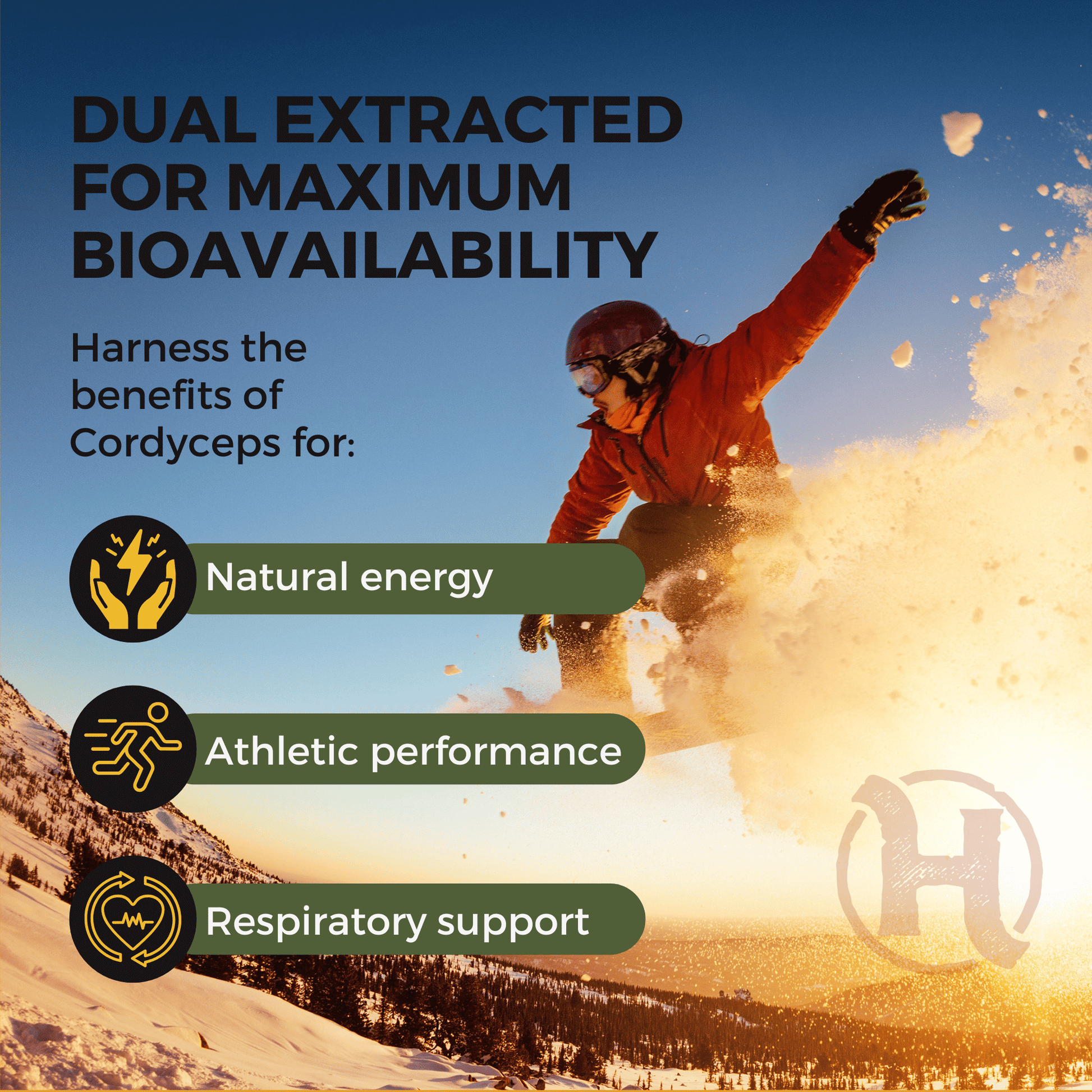 Adaptogen Essentials Pack