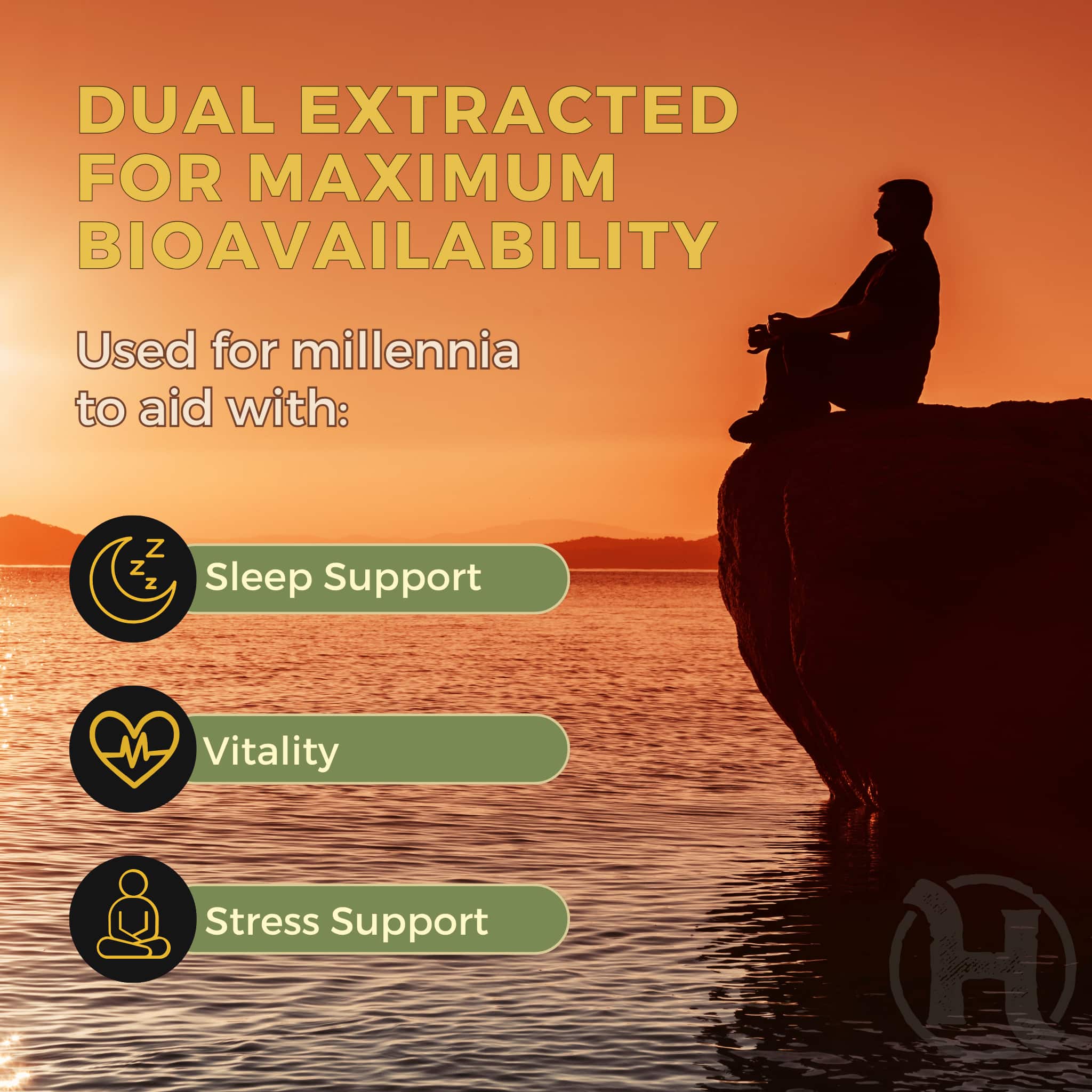 Immunity Power Pack - Happenstence®