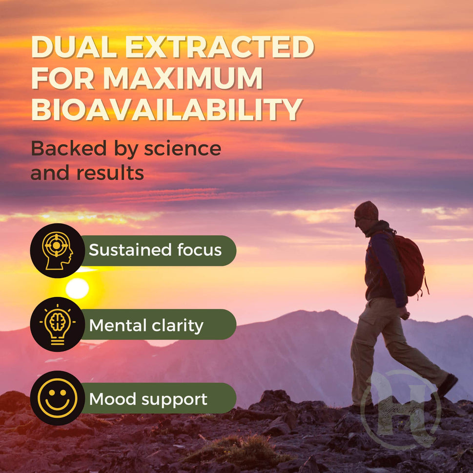 Cognitive & Focus Bundle