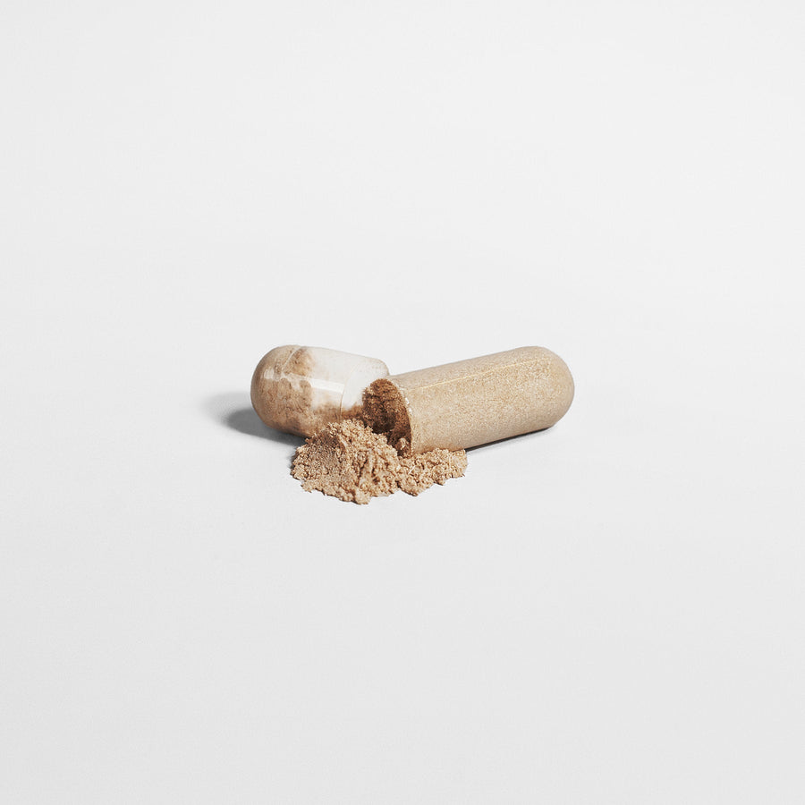 Mushroom Complex - Happenstence®