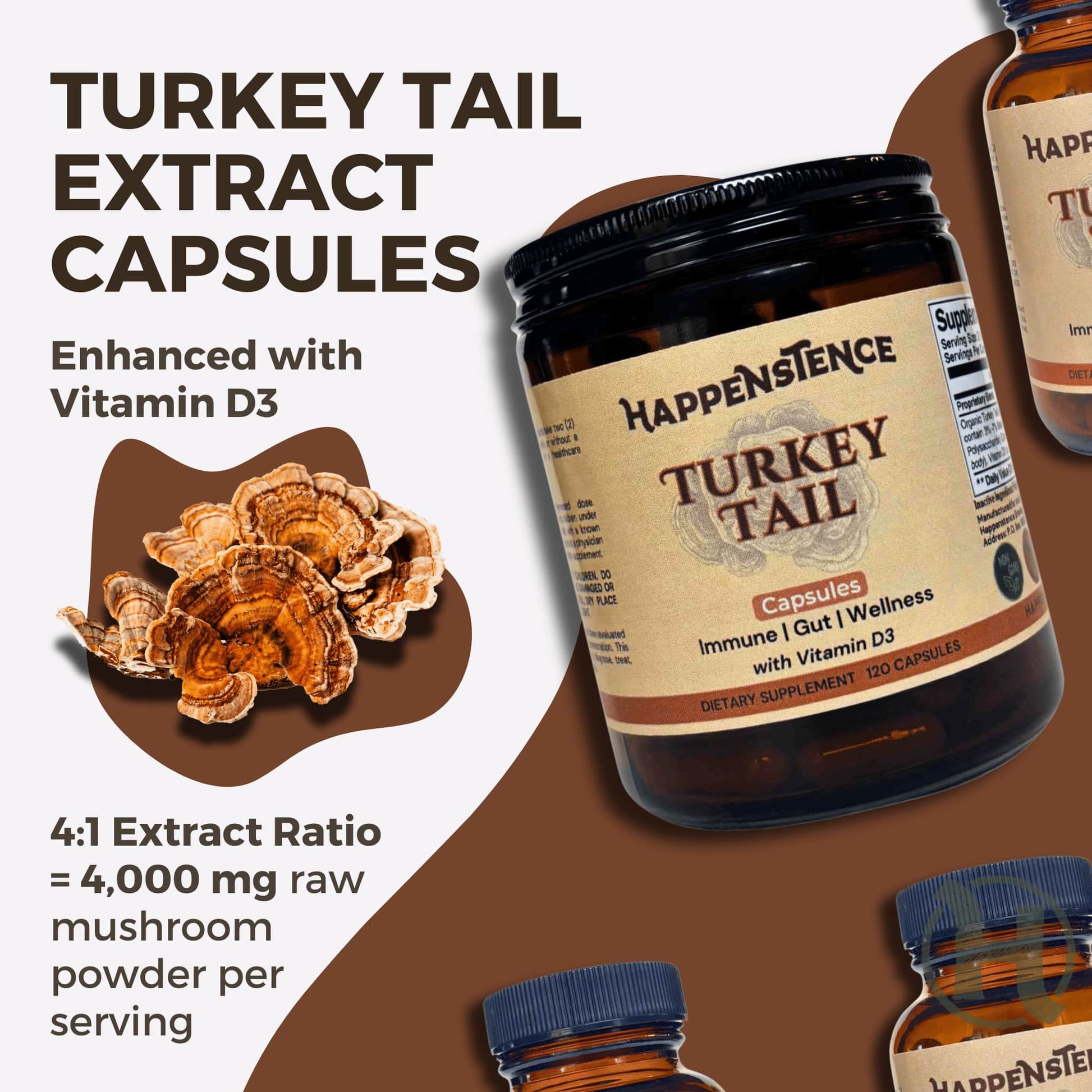 Turkey Tail Capsules